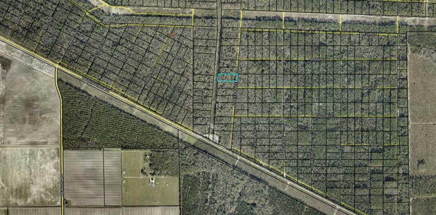 Land in Hastings, Florida № 2164739