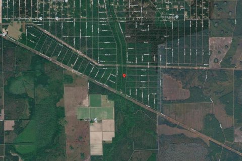 Land in Hastings, Florida № 2164739 - photo 2