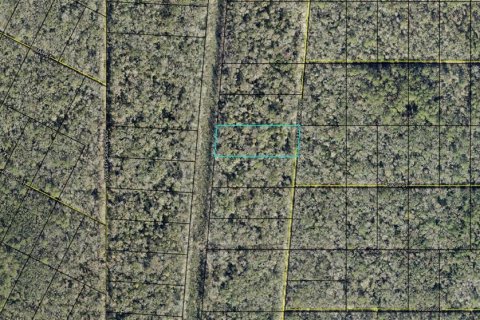 Land in Hastings, Florida № 2164739 - photo 4