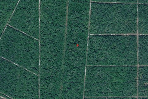 Land in Hastings, Florida № 2164739 - photo 3