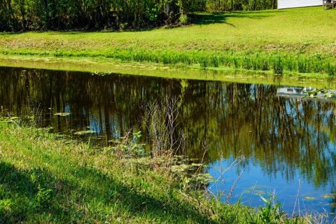 Land in Hastings, Florida № 2164739 - photo 6