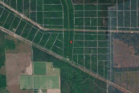 Land in Hastings, Florida № 2164739 - photo 5