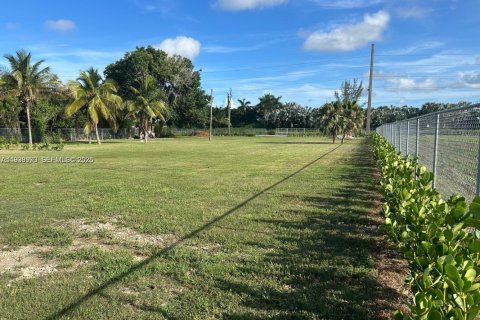 Commercial property in Homestead, Florida № 1996737 - photo 4