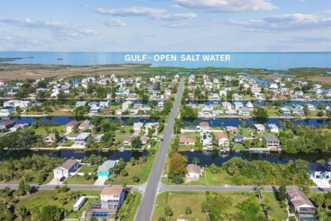 Land in Hernando Beach, Florida № 1876961 - photo 5