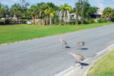 Land in Hernando Beach, Florida № 1876961 - photo 26
