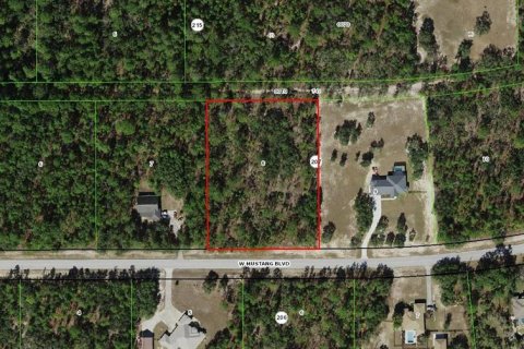 Land in Beverly Hills, Florida № 1686509 - photo 6