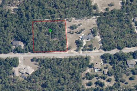 Land in Beverly Hills, Florida № 1686509 - photo 9