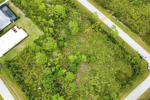 Land in Port Charlotte, Florida № 2165783 - photo 20