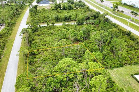 Land in Port Charlotte, Florida № 2165783 - photo 9