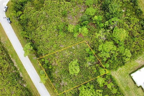 Land in Port Charlotte, Florida № 2165783 - photo 18