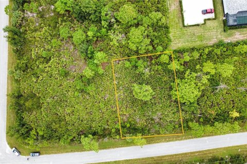 Land in Port Charlotte, Florida № 2165783 - photo 19