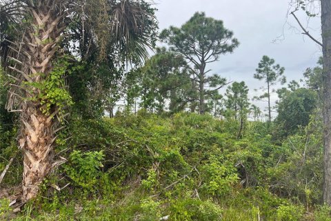 Land in Port Charlotte, Florida № 2165783