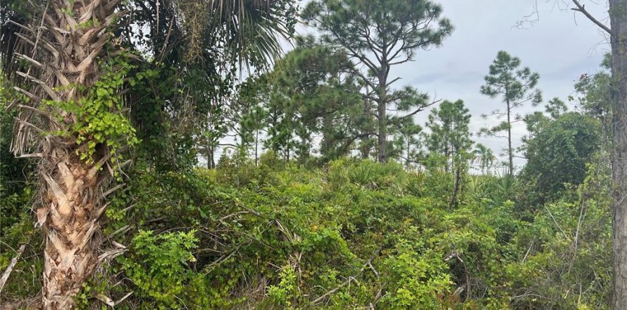 Land in Port Charlotte, Florida № 2165783