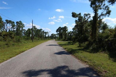 Land in Port Charlotte, Florida № 2165783 - photo 4
