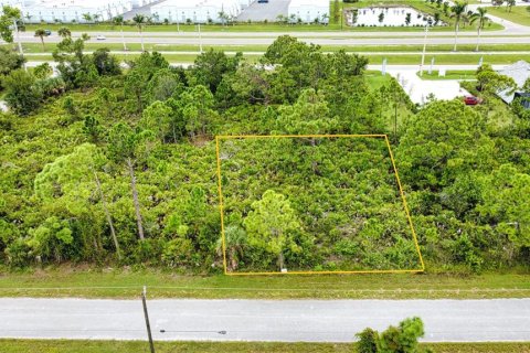 Land in Port Charlotte, Florida № 2165783 - photo 3