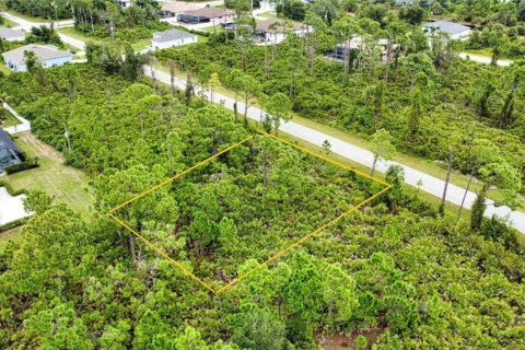 Land in Port Charlotte, Florida № 2165783 - photo 12