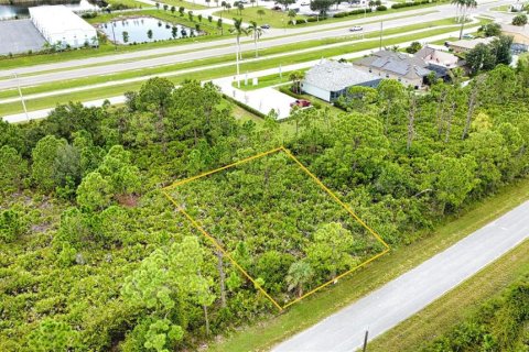 Land in Port Charlotte, Florida № 2165783 - photo 16