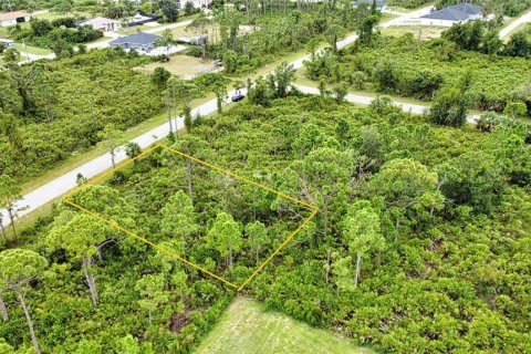 Land in Port Charlotte, Florida № 2165783 - photo 10