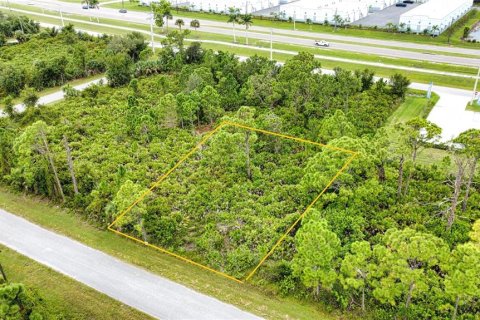 Land in Port Charlotte, Florida № 2165783 - photo 8