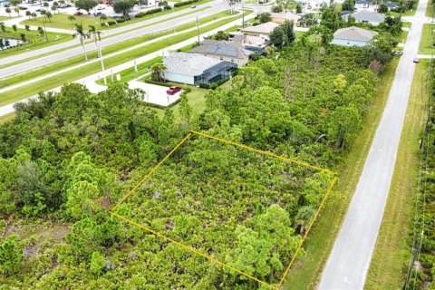 Land in Port Charlotte, Florida № 2165783 - photo 15