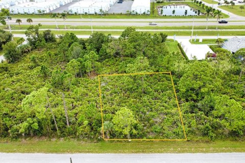 Land in Port Charlotte, Florida № 2165783 - photo 7