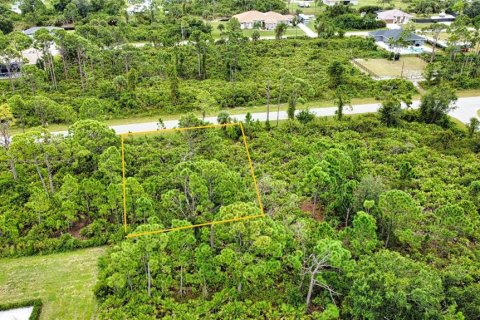 Land in Port Charlotte, Florida № 2165783 - photo 11