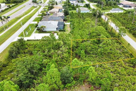 Land in Port Charlotte, Florida № 2165783 - photo 13
