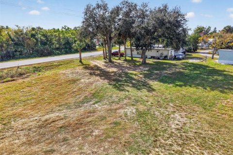 Terrain à Mount Dora, Floride № 2104365