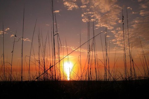 Condominio en venta en Longboat Key, Florida, 3 dormitorios, 137.87 m2 № 2098725 - foto 20
