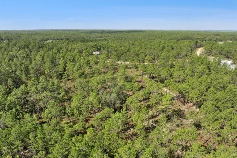 Terrain à vendre à Hawthorne, Floride № 2213773 - photo 4