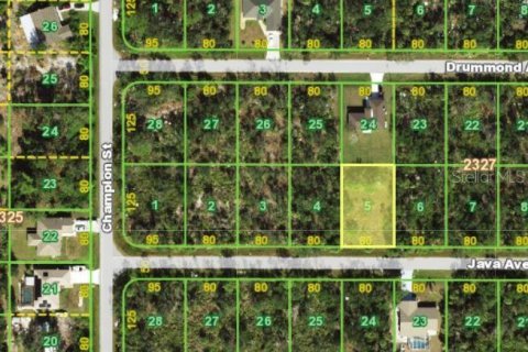 Land in Port Charlotte, Florida № 2162537