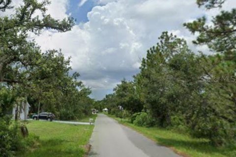 Land in Port Charlotte, Florida № 2162537 - photo 3