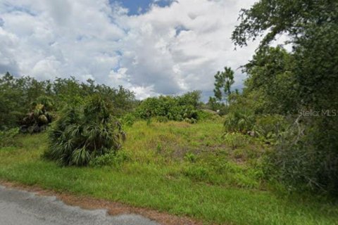 Land in Port Charlotte, Florida № 2162537 - photo 2