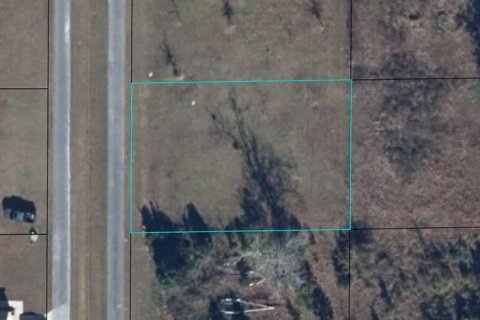 Land in Wewahitchka, Florida № 2356437