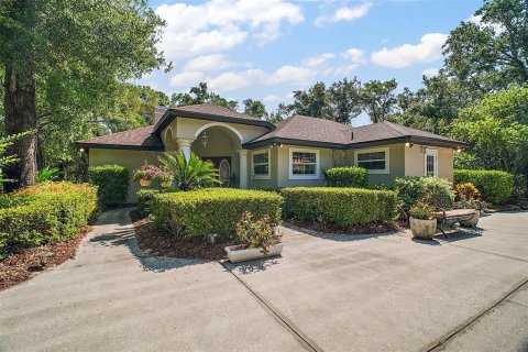 House in Eustis, Florida 5 bedrooms, 297.29 sq.m. № 1754462 - photo 1