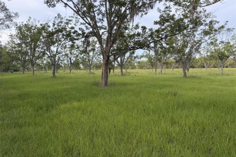 Terrain à Hawthorne, Floride № 2221637