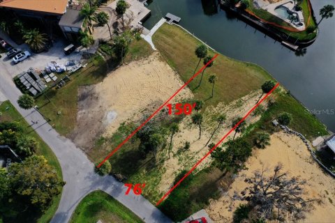 Land in Crystal River, Florida № 2196847 - photo 5