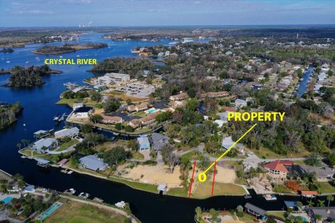 Land in Crystal River, Florida № 2196847