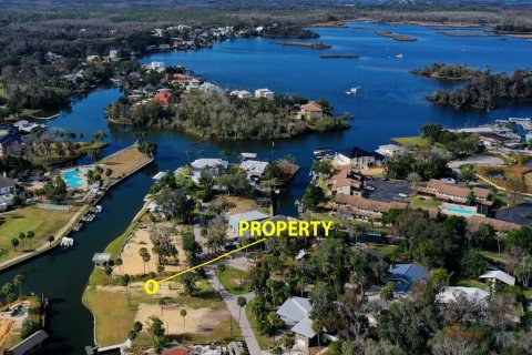 Land in Crystal River, Florida № 2196847 - photo 4