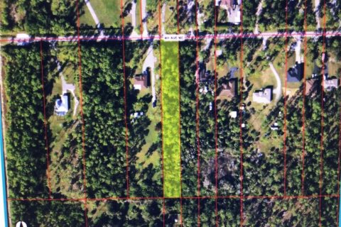 Land in Naples, Florida № 1584822 - photo 2