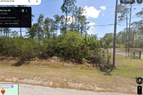 Land in Naples, Florida № 1584822 - photo 3