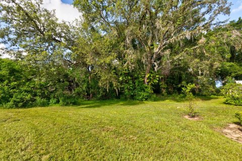 Land in Eustis, Florida № 2239900