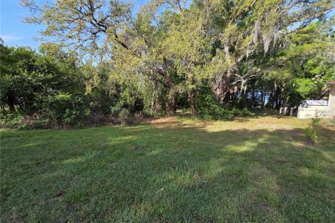 Terrain à vendre à Eustis, Floride № 2239900 - photo 8