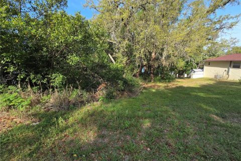 Terrain à vendre à Eustis, Floride № 2239900 - photo 6