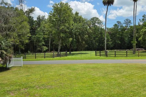 Apartment in Astor, Florida 3 bedrooms, 115.94 sq.m. № 2232057 - photo 20