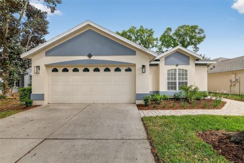 House in Mount Dora, Florida 3 bedrooms, 162.86 sq.m. № 2101425