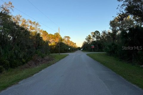 Land in Port Charlotte, Florida № 2196362 - photo 2