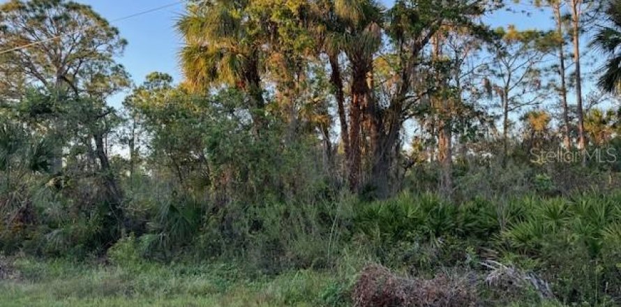 Land in Port Charlotte, Florida № 2196362