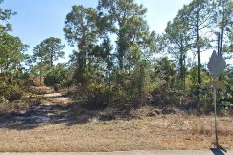 Land in Lehigh Acres, Florida № 2213289