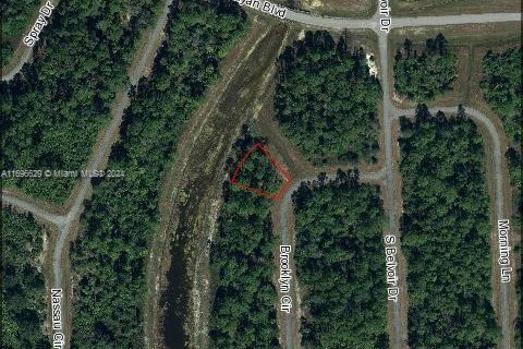 Land in LaBelle, Florida № 2158604